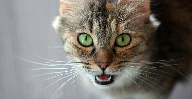 Unsplash/Sandy Millar